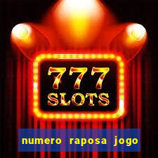 numero raposa jogo do bicho